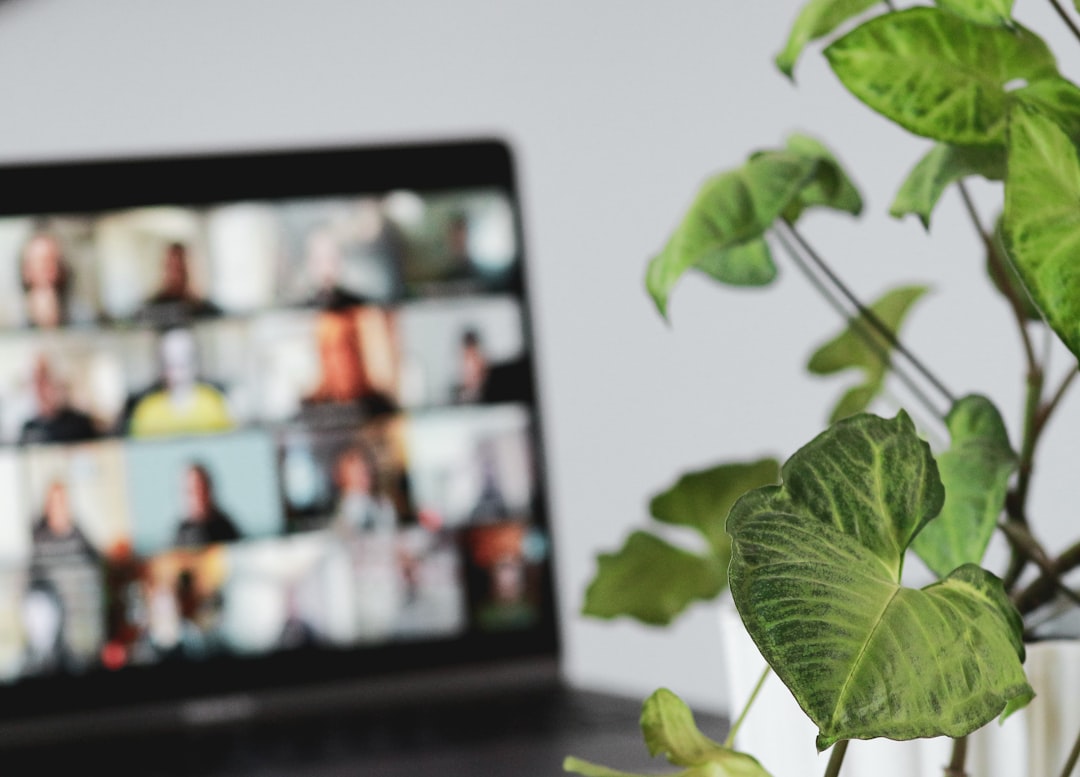 free webinar hosting